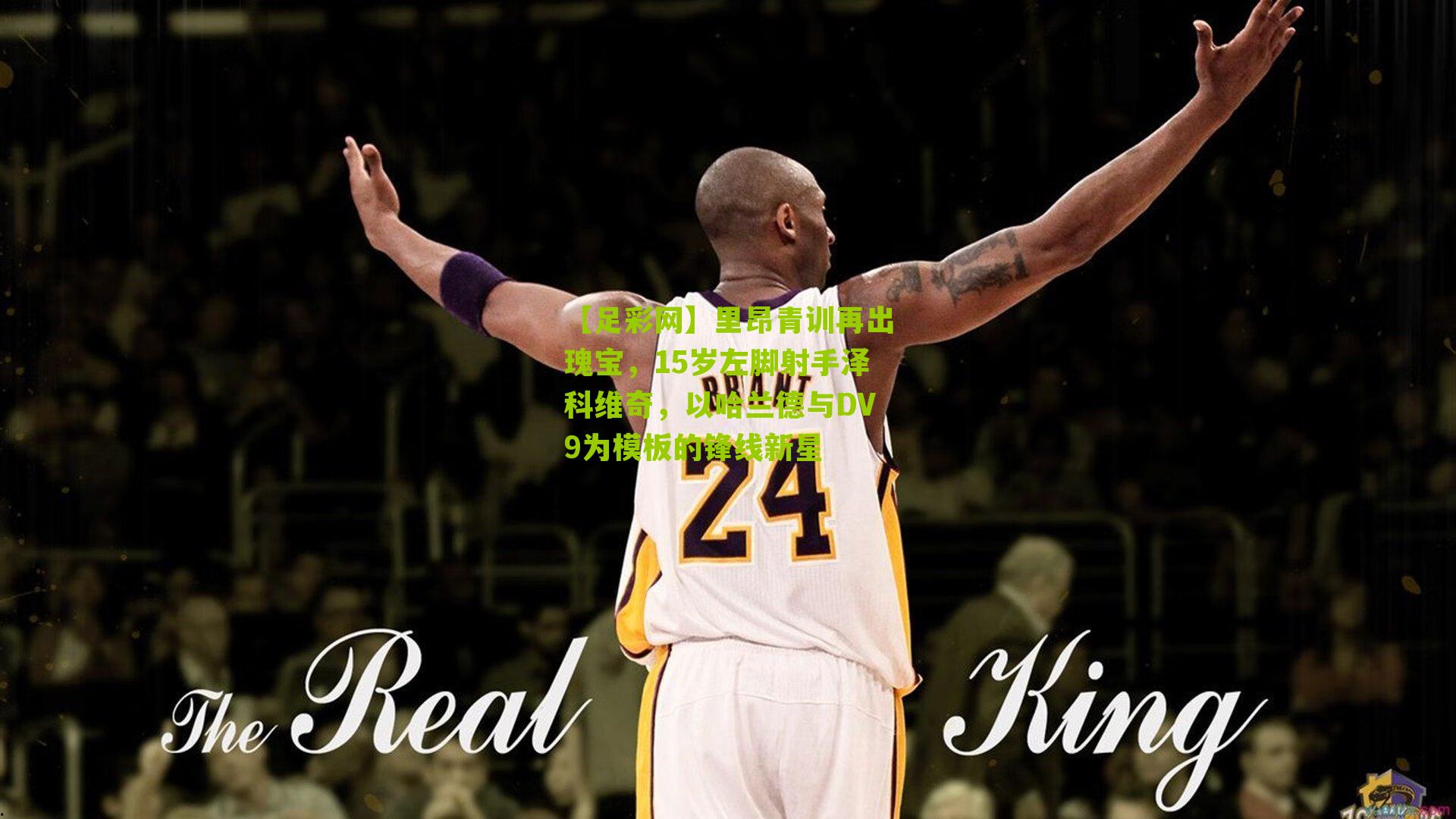 里昂青训再出瑰宝,15岁左脚射手泽科维奇,以哈兰德与DV9为模板的锋线新星